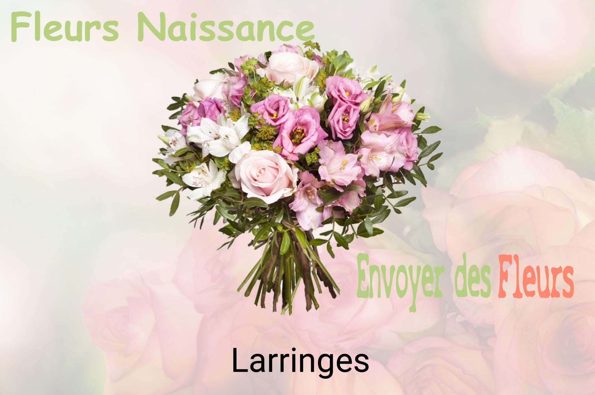 Bouquet de fleurs de naissance livré à Larringes