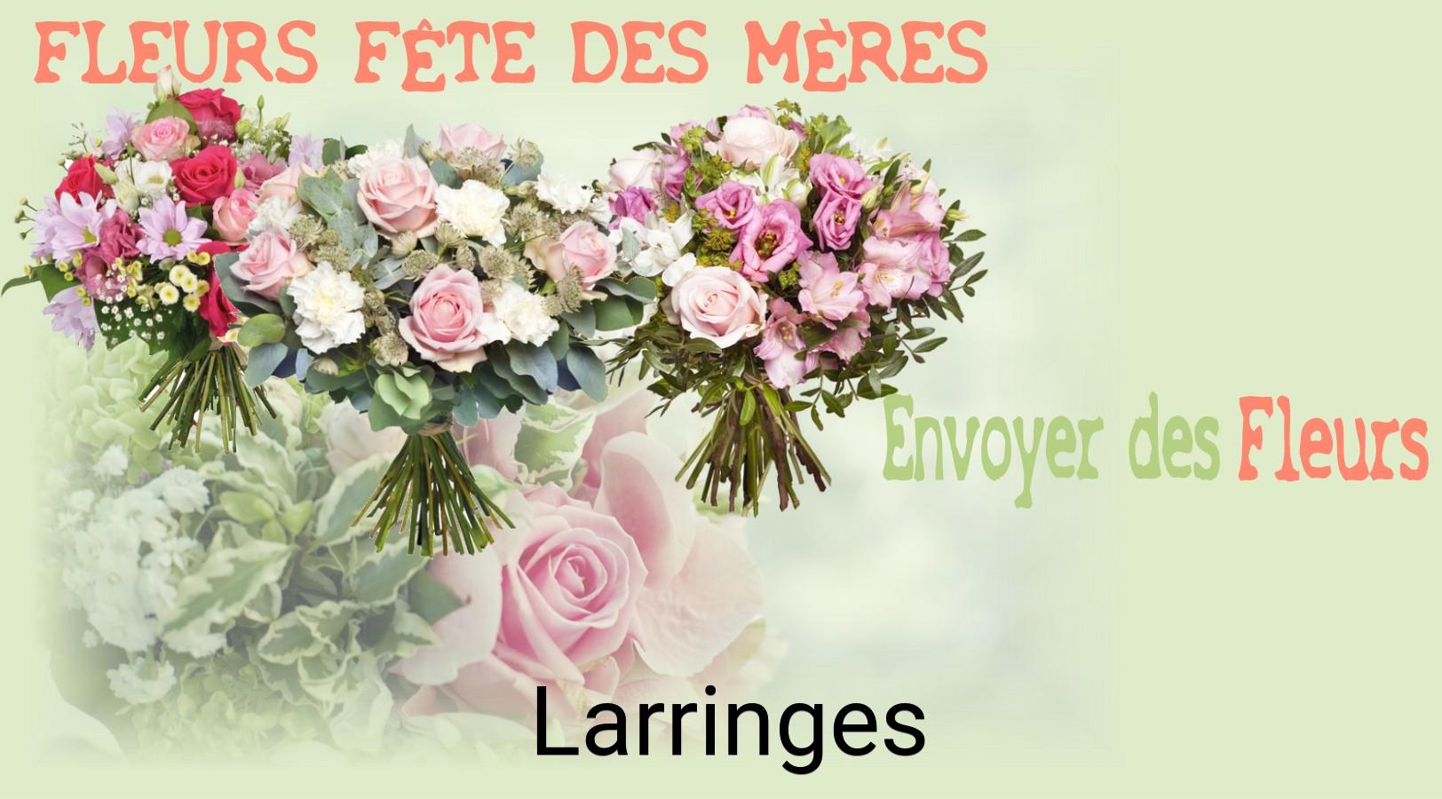 Bouquet de Fête des Mères livré à Larringes